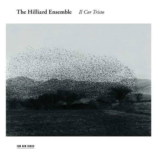 Cover for Hilliard Ensemble · Il Cor Tristo (CD) (2013)