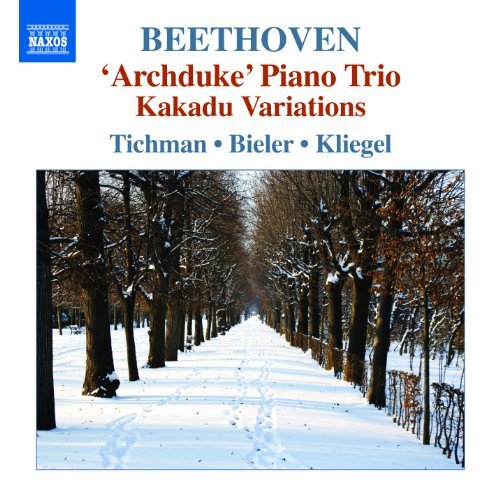 Archduke Piano Trio - Ludwig Van Beethoven - Muziek - NAXOS - 0747313234370 - 1 maart 2013