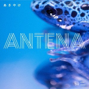 Cover for Antena · Asayake (CD) [Japan Import edition] (2021)