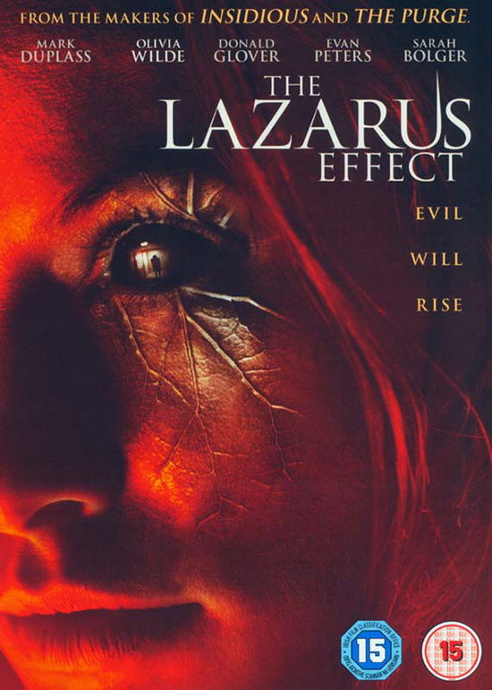 The Lazarus Effect - The Lazarus Effect - Movies - LIONSGATE UK - 5055761906370 - October 19, 2015
