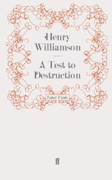 Cover for Henry Williamson · A Test to Destruction - A Chronicle of Ancient Sunlight (Paperback Book) [Main edition] (2011)