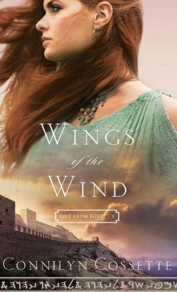 Cover for Wings of the Wind (Hardcover Book) (2017)