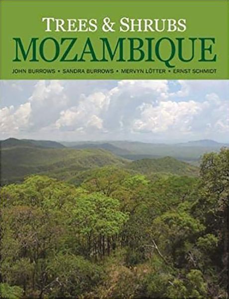 Cover for John Burrows · Trees and shrubs Mozambique (Hardcover Book) (2019)