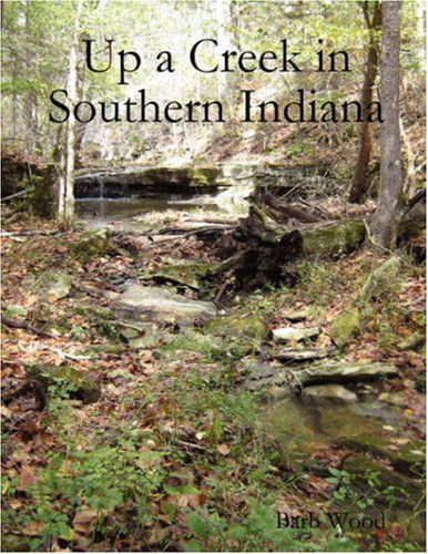 Cover for Barb Wood · Up a Creek in Southern Indiana (Paperback Book) (2007)