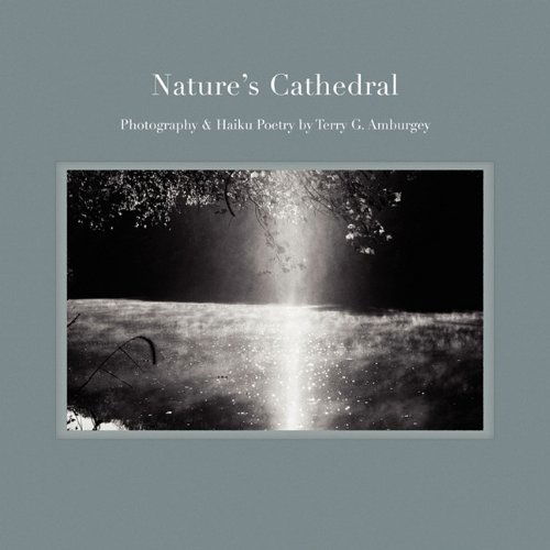 Cover for Terry G. Amburgey · Nature's Cathedral (Paperback Book) (2010)