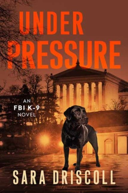 Cover for Sara Driscoll · Under Pressure: A Spellbinding Crime Thriller (Taschenbuch) (2024)