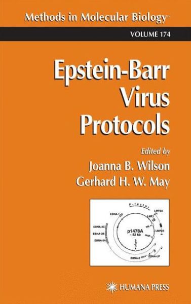 Cover for Joanna B Wilson · Epstein-Barr Virus Protocols - Methods in Molecular Biology (Paperback Book) [Softcover reprint of hardcover 1st ed. 2001 edition] (2010)