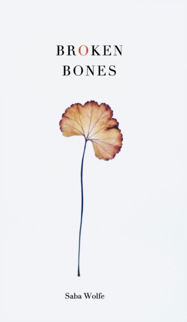 Cover for Saba Wolfe · Broken Bones (Hardcover Book) (2020)