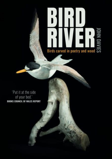 Cover for John Davies · Bird River (Paperback Book) (2023)