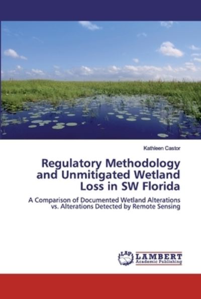 Regulatory Methodology and Unmit - Castor - Books -  - 9783330038370 - September 9, 2019