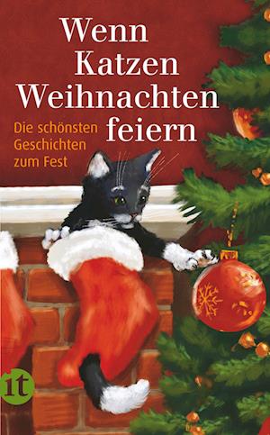 Cover for Gesine Dammel · Wenn Katzen Weihnachten feiern (Book) (2022)