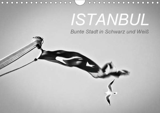 Istanbul - Bunte Stadt in Schw - Reinecke - Books -  - 9783672000370 - 