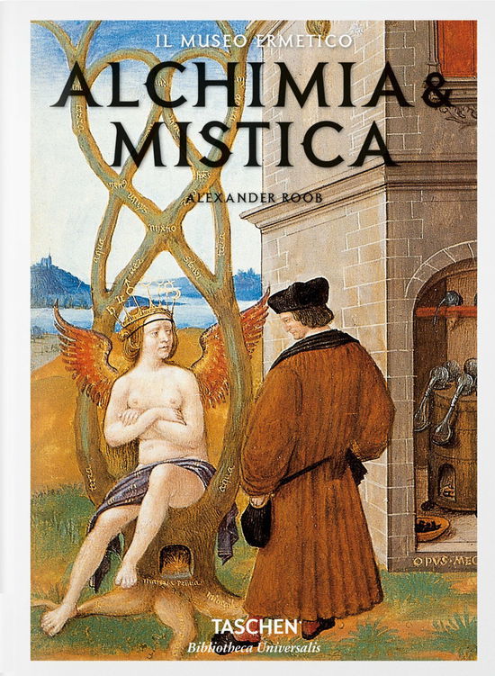 Cover for Alexander Roob · Alchimia &amp; Mistica / Segni E Meraviglie (Book) [Italian edition]