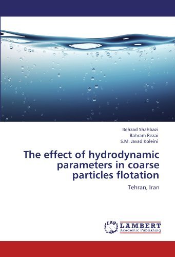 S.m. Javad Koleini · The Effect of Hydrodynamic Parameters in Coarse Particles Flotation: Tehran, Iran (Paperback Bog) (2012)