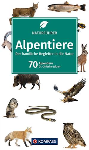 KOMPASS Naturführer Alpentiere - Christine Jaitner - Książki - Kompass Karten GmbH - 9783991215370 - 20 kwietnia 2022