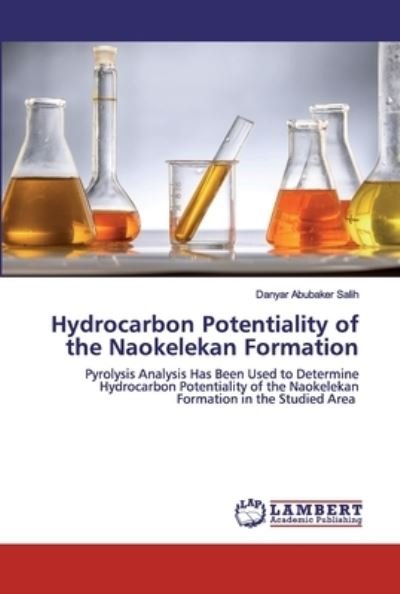Cover for Salih · Hydrocarbon Potentiality of the N (Book) (2020)