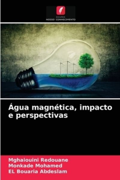 Cover for Mghaiouini Redouane · Agua magnetica, impacto e perspectivas (Pocketbok) (2021)