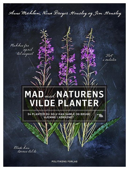Cover for Jette Dreyer Hensley og Jim Hensley Anne Mæhlum · Mad med naturens vilde planter (Gebundesens Buch) [1. Ausgabe] (2017)