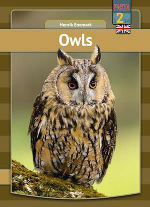 My first book: Owls - Henrik Enemark - Bücher - Turbine - 9788740670370 - 7. April 2021