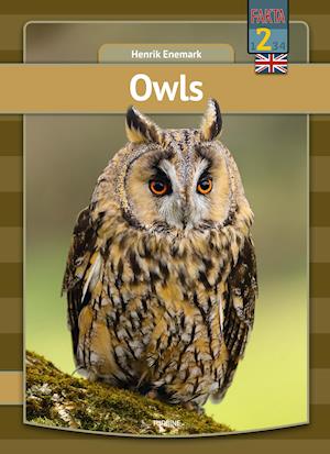 My first book: Owls - Henrik Enemark - Bøger - Turbine - 9788740670370 - 7. april 2021