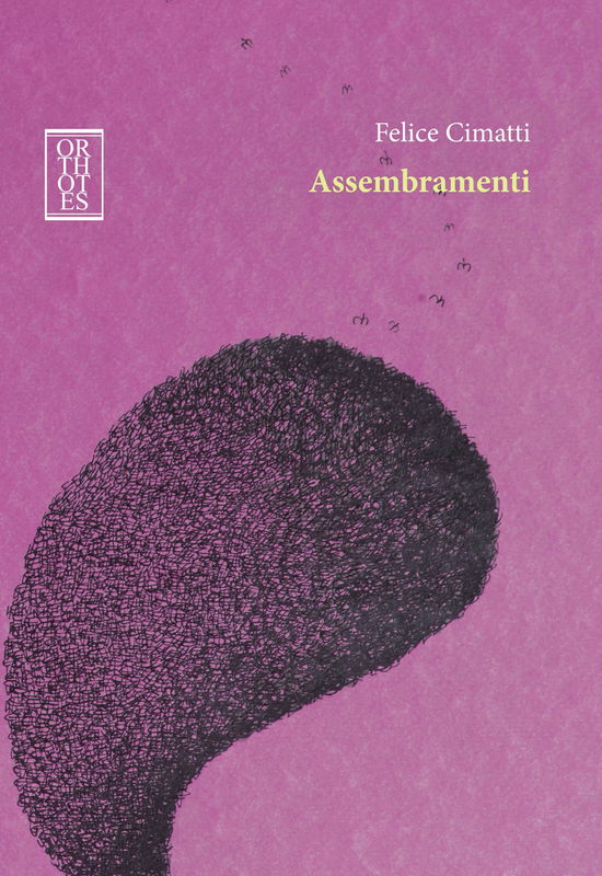 Cover for Felice Cimatti · Assembramenti (Book)