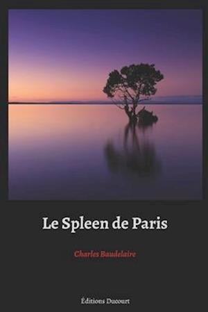 Cover for Charles Baudelaire · Le Spleen de Paris (Paperback Bog) (2020)