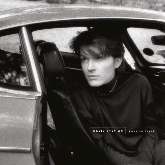 Gone to Earth - David Sylvian - Music - ROCK - 0602567953371 - February 22, 2019