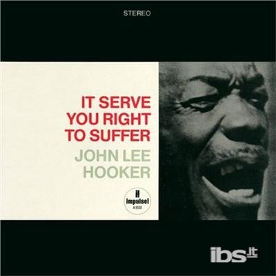 Cover for John Lee Hooker · It Serve You Right (LP) [Audiophile edition] (1990)