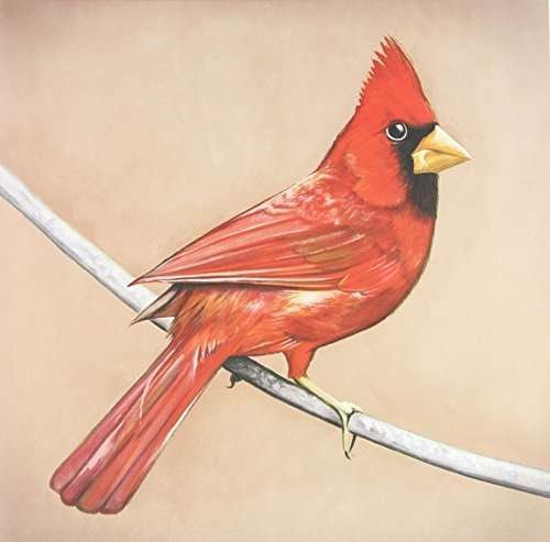 Cover for Alexisonfire · Old Crows / Young Cardinals (LP) (2020)