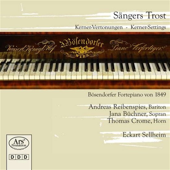 Cover for Dessauer / Hensel / Reibenspies / Sellheim · Sangers Trost (CD) (2017)