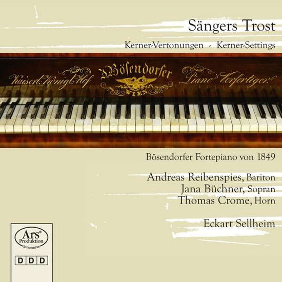 Cover for Dessauer / Hensel / Reibenspies / Sellheim · Sangers Trost (CD) (2017)