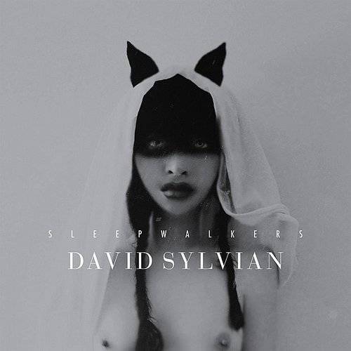 Sleepwalkers - David Sylvian - Music - GROENLAND - 5060238638371 - June 10, 2022