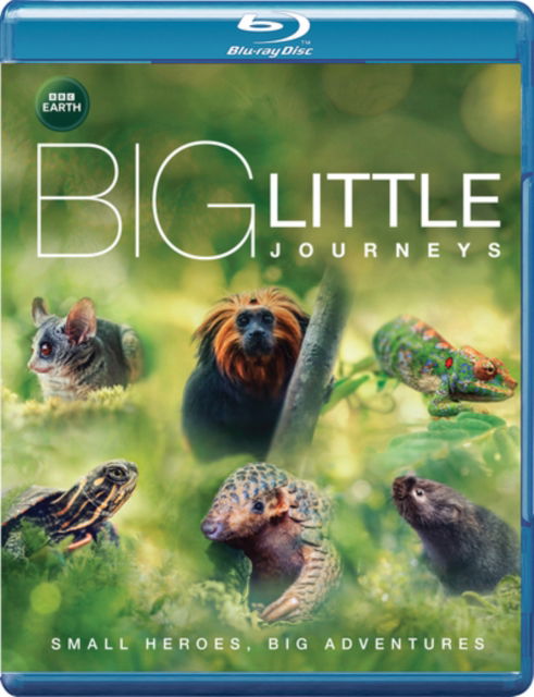 Big Little Journeys - Big Little Journeys Bluray - Elokuva - DAZZLER - 5060797577371 - maanantai 18. joulukuuta 2023