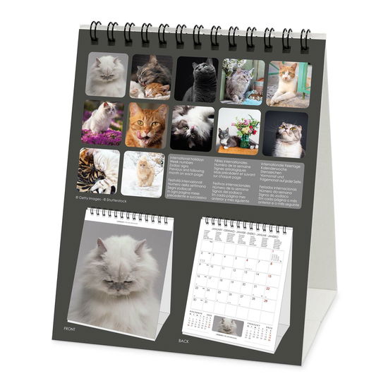 Legami · Cats Desk Calendar 2023 (Calendar) (2022)