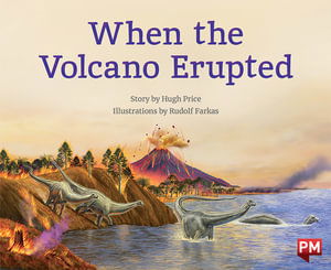 When the Volcano Erupted - Hugh Price - Books - SCHOLASTIC LTD - 9780170328371 - 