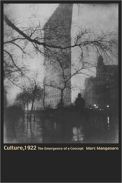 Cover for Marc Manganaro · Culture, 1922: The Emergence of a Concept (Taschenbuch) (2002)