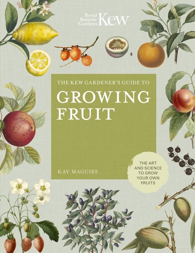 Cover for Kay Maguire · The Kew Gardener's Guide to Growing Fruit: The art and science to grow your own fruit - Kew Experts (Hardcover Book) [Illustrated edition] (2019)