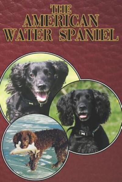 The American Water Spaniel - Michael Stonewood - Kirjat - Independently Published - 9781090504371 - keskiviikko 13. maaliskuuta 2019