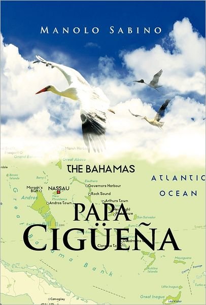 Papa Ciguena - Manolo Sabino - Books - Palibrio - 9781463300371 - June 15, 2011