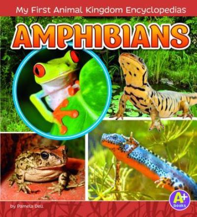 Cover for Emma Carlson Berne · Amphibians (Book) (2017)