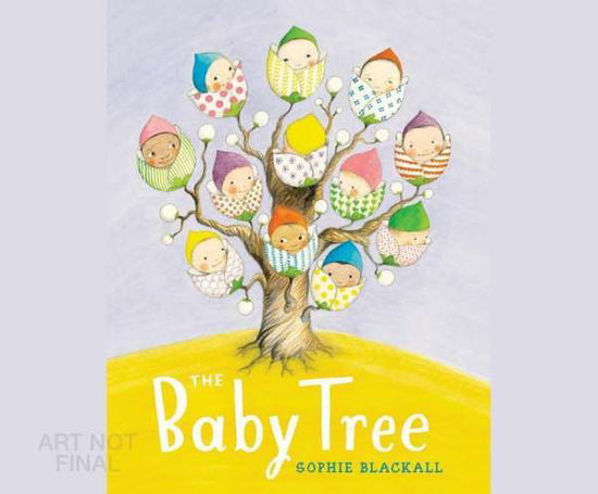 Cover for Sophie Blackall · The Baby Tree (CD) (2015)