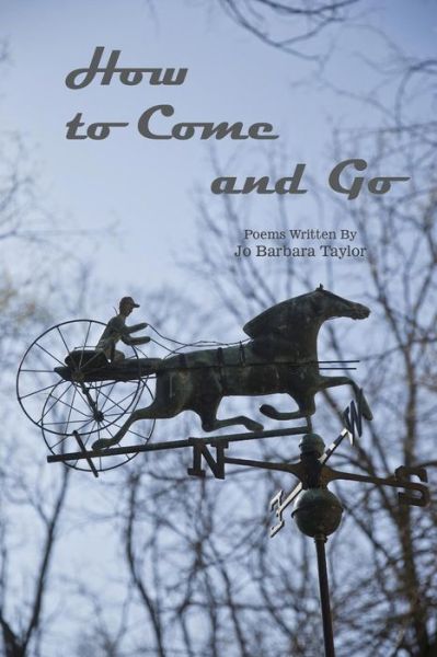 Cover for Jo Barbara Taylor · How to Come and Go : Poems Written By Jo Barbara Taylor (Paperback Book) (2016)