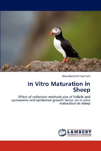 Cover for Khursheed Ahmad Sofi · In Vitro Maturation in Sheep: Effect of Collection Methods,size of Follicle and Cysteamine and Epidermal Growth Factor on in Vitro Maturation in Sheep (Taschenbuch) (2012)