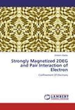 Cover for Abebe · Strongly Magnetized 2DEG and Pair (Book)