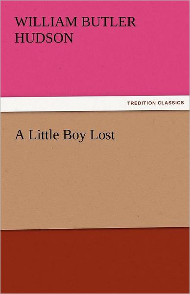 Cover for William Butler Hudson · A Little Boy Lost (Tredition Classics) (Paperback Book) (2011)