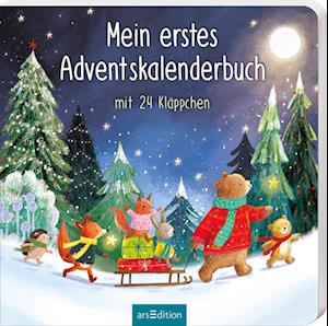 Maria Höck · Mein erstes Adventskalenderbuch (Bok) (2024)