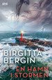 Cover for Birgitta Bergin · En hamn i stormen (Bound Book) (2022)