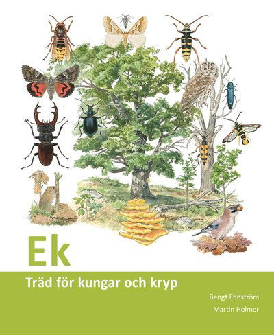 Cover for Bengt Ehnström · Ek: träd för kungar och kryp (Book) (2023)