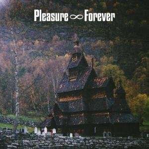Cover for Pleasure Forever · Bodies Need Rest (LP) (2007)