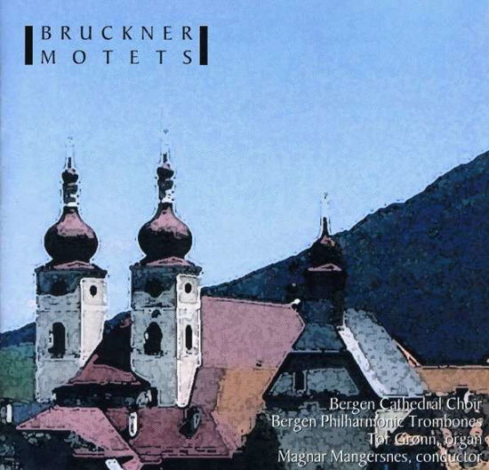 Motets Tantum Ergo Nr.1-6 - Anton Bruckner - Musiikki - PRO MUSICA - 7033662090372 - keskiviikko 20. toukokuuta 2009